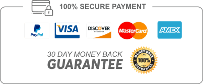 secure payment